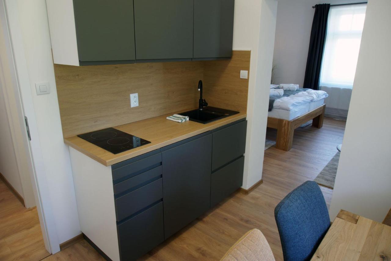 Apartmany Krásná Lípa エクステリア 写真